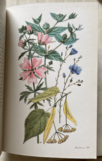 Image 5 of British Flowering Plants by John Hutchinson