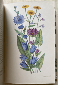 Image 6 of British Flowering Plants by John Hutchinson