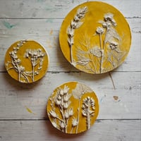 Image 3 of Botanical Plaster Casting Workshop