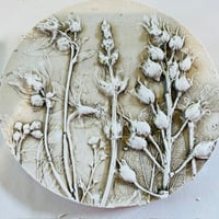 Image 16 of Botanical Plaster Casting Workshop