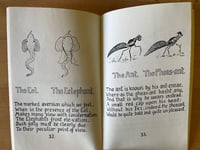 Image 2 of Vintage How To Tell The Birds From The Flowers and Other Woodcuts