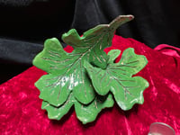Image 1 of leaves 1