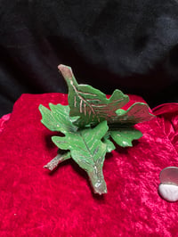 Image 2 of leaves 1