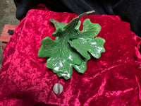 Image 3 of leaves 1