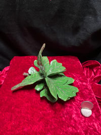 Image 4 of leaves 1