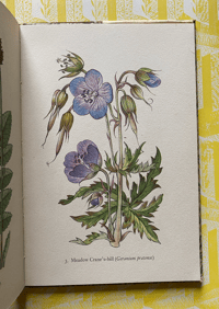 Image 3 of Flowers of the Meadow vintage King Penguin book (FOR LISA)