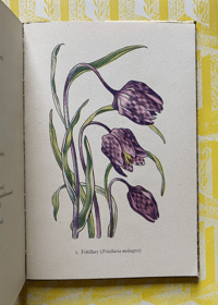 Image 4 of Flowers of the Meadow vintage King Penguin book (FOR LISA)