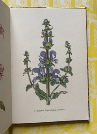 Image 5 of Flowers of the Meadow vintage King Penguin book (FOR LISA)