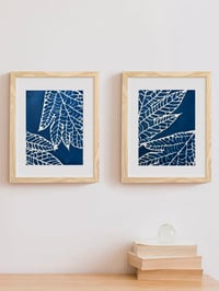 Image 2 of Cyanotype Panas IV