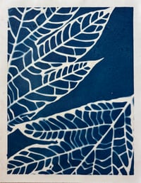 Image 1 of Cyanotype Panas III