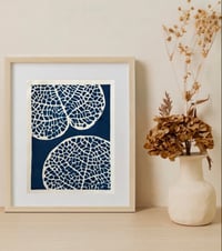 Image 2 of Cyanotype Sea Grape IV