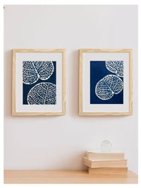 Image 3 of Cyanotype Sea Grape IV