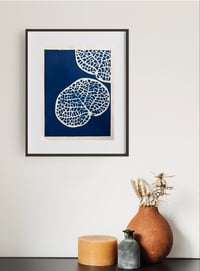 Image 2 of Cyanotype sea Grape III