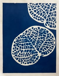 Image 1 of Cyanotype sea Grape III