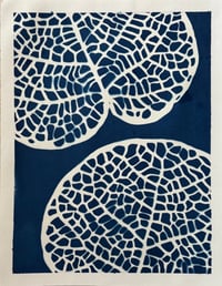Image 1 of Cyanotype Sea Grape IV