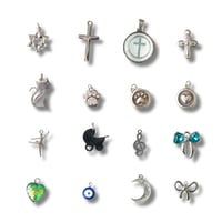 Misc. Silver Charms