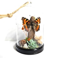 Image 1 of Tortoiseshell Butterfly Mini Woodland Hanging Dome