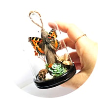 Image 4 of Tortoiseshell Butterfly Mini Woodland Hanging Dome