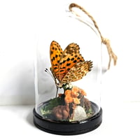 Image 1 of Fritillary Butterfly Mini Woodland Hanging Dome