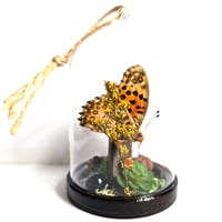 Image 2 of Fritillary Butterfly Mini Woodland Hanging Dome