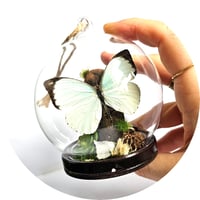 Image 3 of Vagrant Butterfly Mini Woodland Hanging Globe