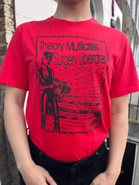 Theory Mutilates