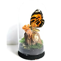 Image 2 of Tiger Wing Butterfly Mini Woodland Cork Dome