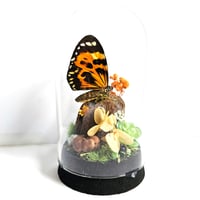 Image 1 of Tiger Wing Butterfly Mini Woodland Cork Dome