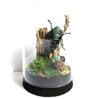 Image 1 of Sumptuosa Jewel Beetle Mini Woodland Cork Dome