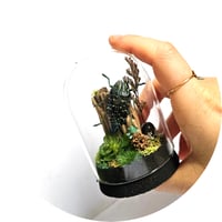 Image 3 of Sumptuosa Jewel Beetle Mini Woodland Cork Dome