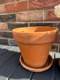 Image 3 of Terracotta Plant Pot