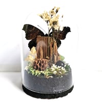 Image 2 of Peacock Butterfly Mini Woodland Cork Dome