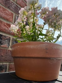 Image 2 of Round Terracotta Plant Pot 