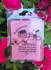 Image 1 of Pink Lagoon-a Rockytop Wax Works exclusive custom houseblend fragrance 
