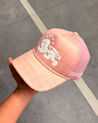 Image 4 of CHEESECAKE TRUCKER