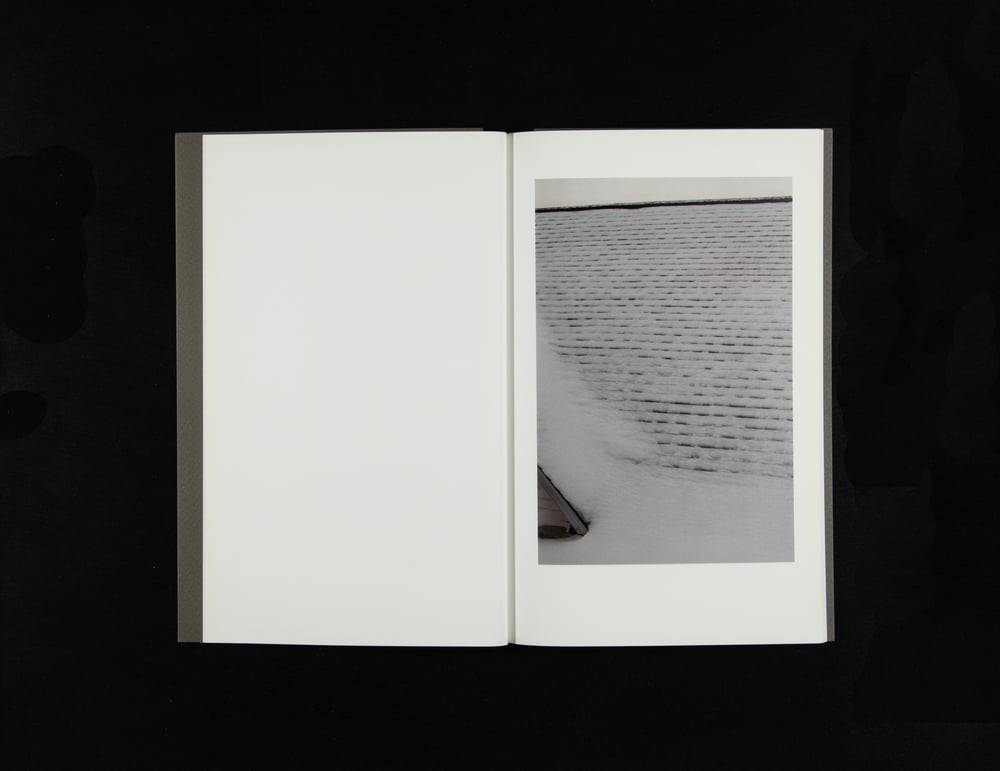 Looking Backward - Rachael Deeley