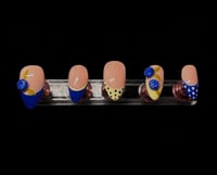 Image 1 of BLUEBERRY PICNIC 
