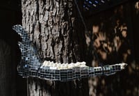 Image 1 of Disco Ball Jaw