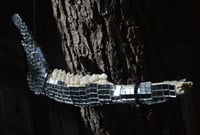 Image 2 of Disco Ball Jaw