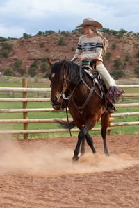 Equine Sale Video