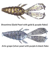 Image 4 of Slimey Beetle