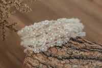 Image 3 of Mohair Tieback 230