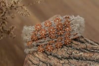Image 3 of Mohair Tieback 231