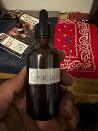 Echinacea