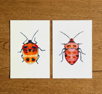 Image 7 of Set of 2 Entomology Shield Bug Prints, Digital Download