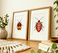 Image 2 of Set of 2 Entomology Shield Bug Prints, Digital Download