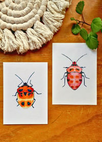 Image 1 of Set of 2 Entomology Shield Bug Prints, Digital Download