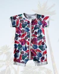 Image 1 of Bonds Wondersuit Zippy Romper-12-18m 