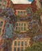 Image of 'Etched in Vines'