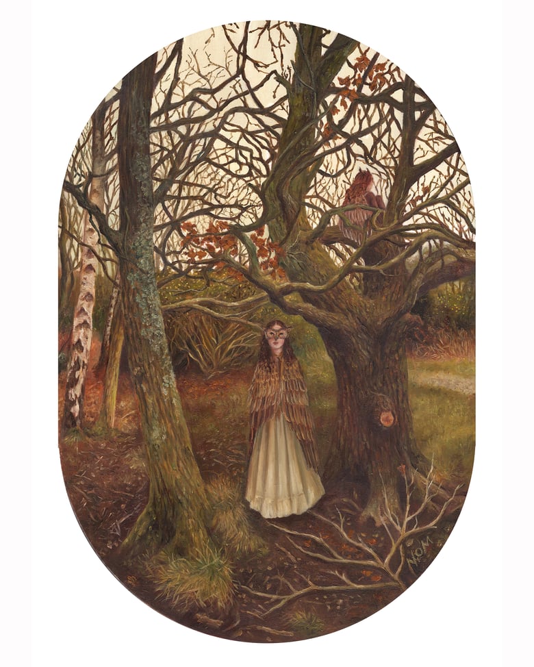 Image of 'The Hygel woods'